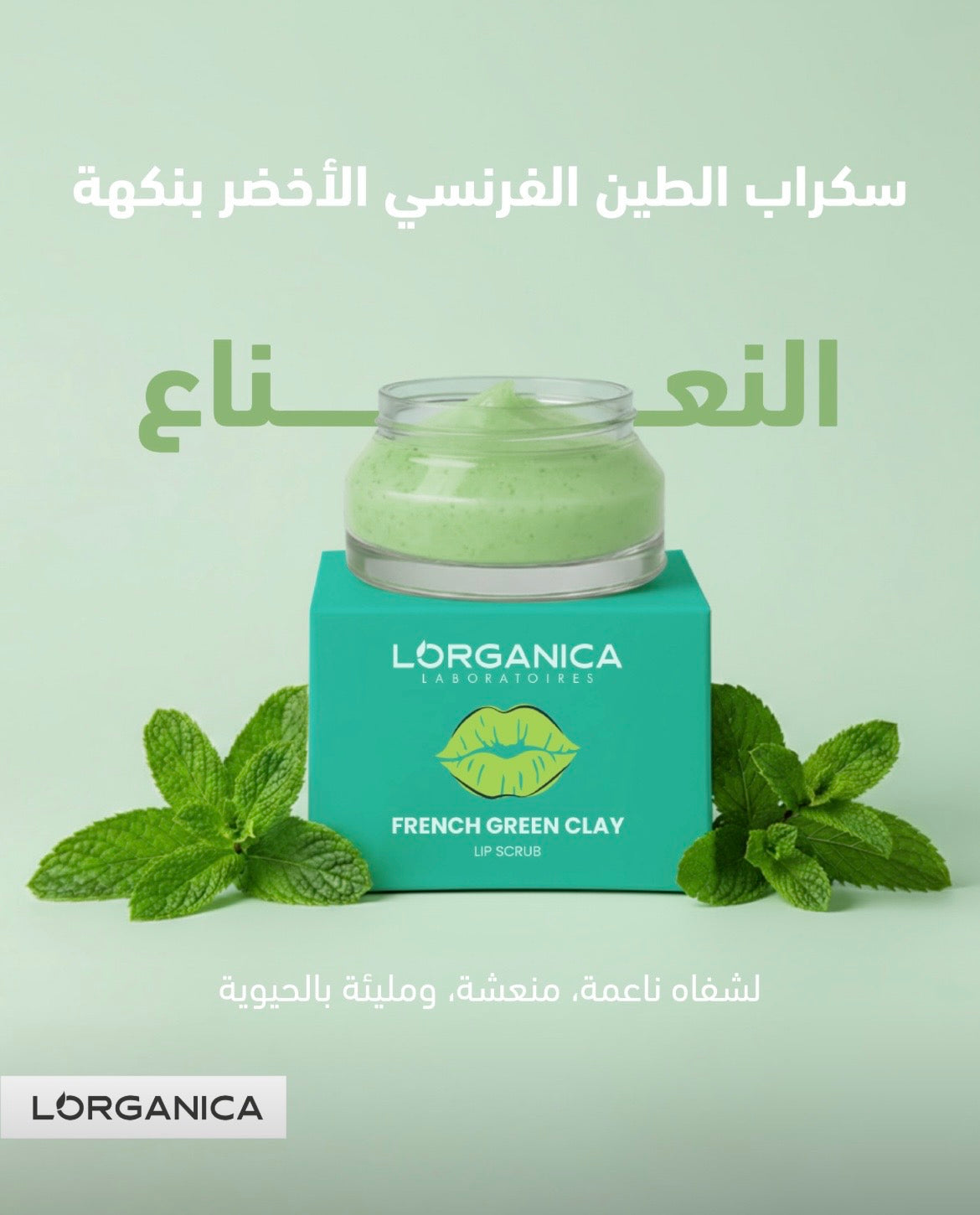 Lips scrub,سكراب للشفايف ب ٦ نكهات
